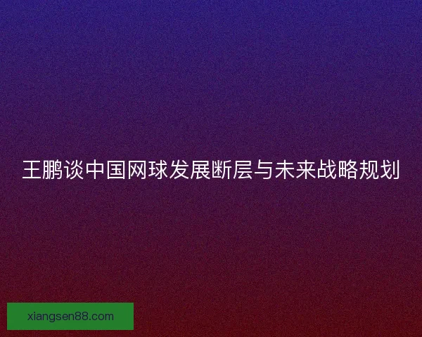 王鹏谈中国网球发展断层与未来战略规划